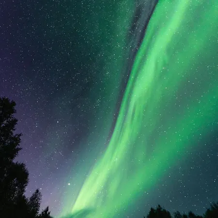Marasto * Rovaniemi